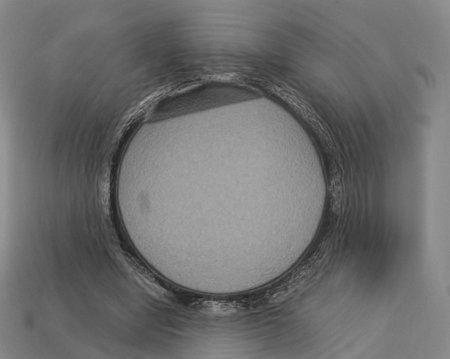 X0000113110442200909251055