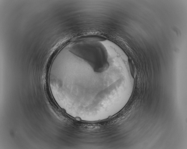 X0000113110443200909251055