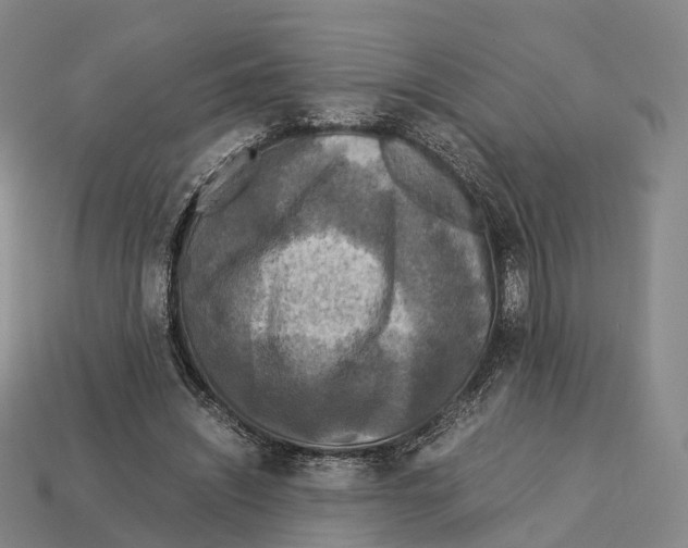 X0000113110444200909251055