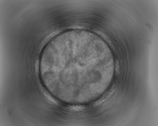 X0000113110445200909251055