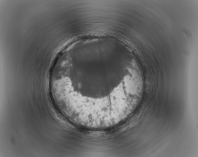 X0000113110446200909251055