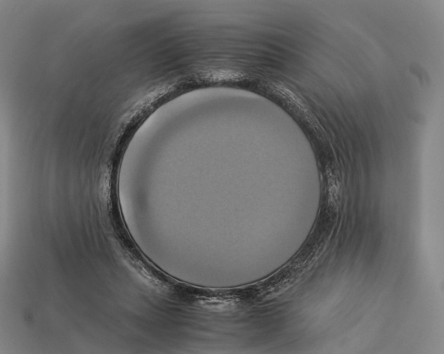 X0000113110447200909251055