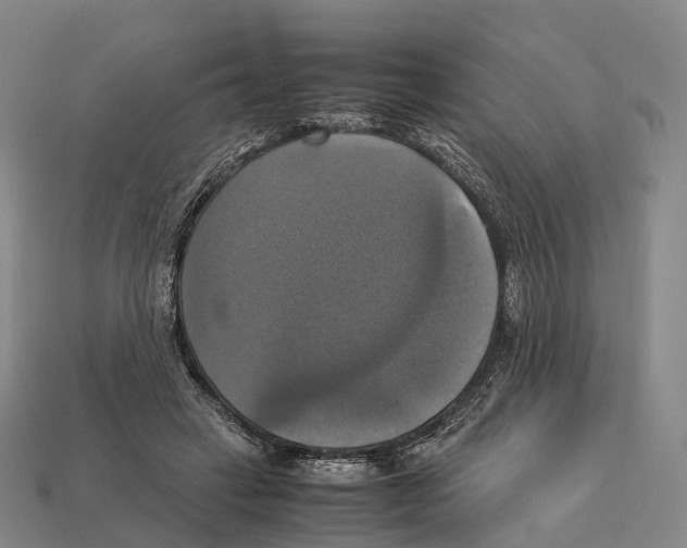 X0000113110449200909251055
