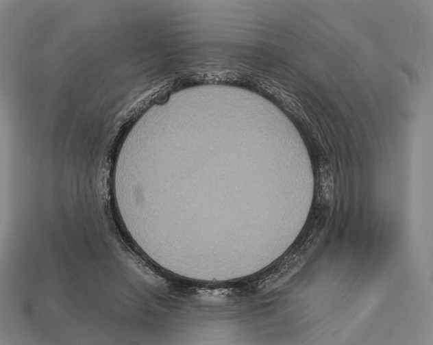 X0000113110450200909251055