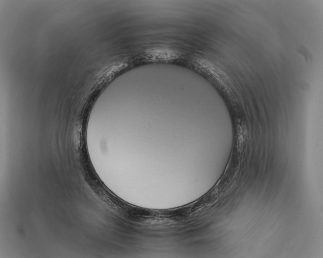X0000113110451200909251055
