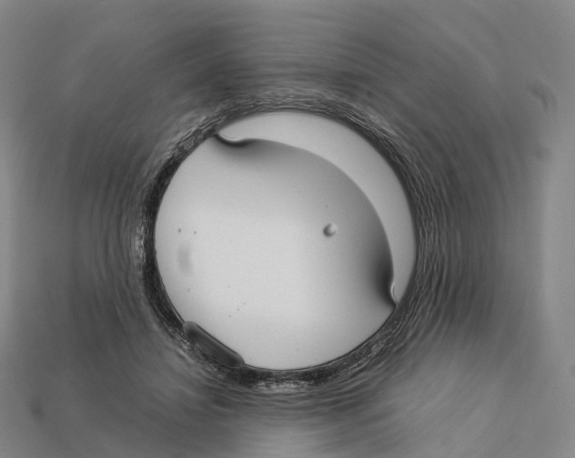 X0000113110452200909251056