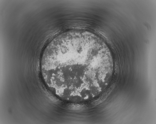 X0000113110453200909251056