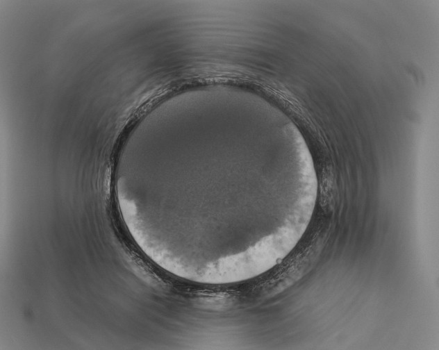 X0000113110454200909251056