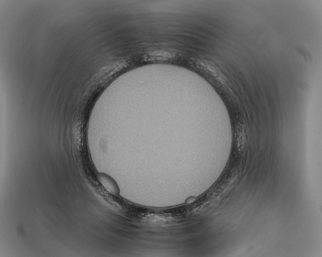 X0000113110455200909251056