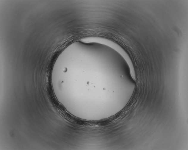 X0000113110456200909251056