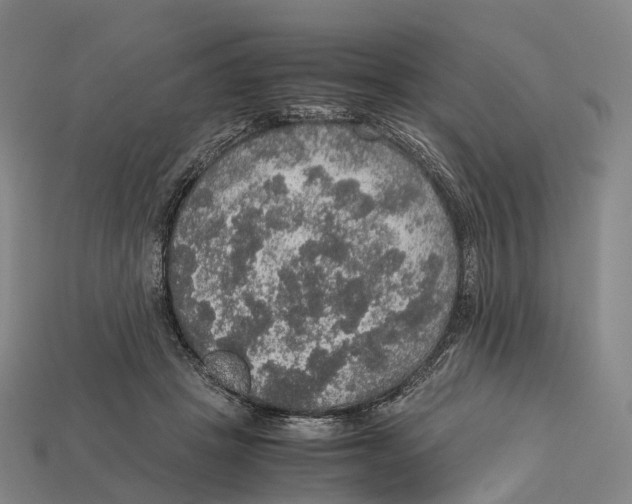 X0000113110457200909251056