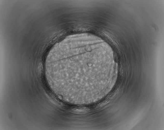 X0000113110459200909251056