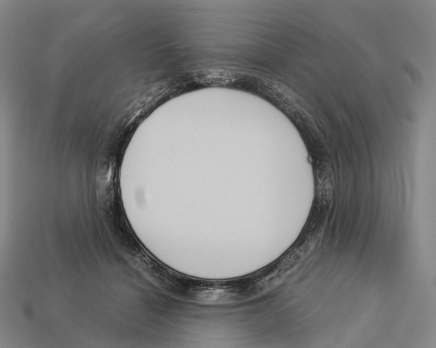 X0000113110460200909251056