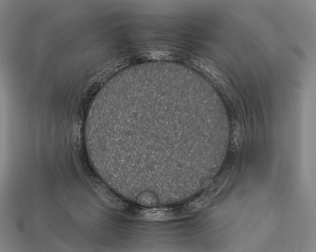 X0000113110461200909251056
