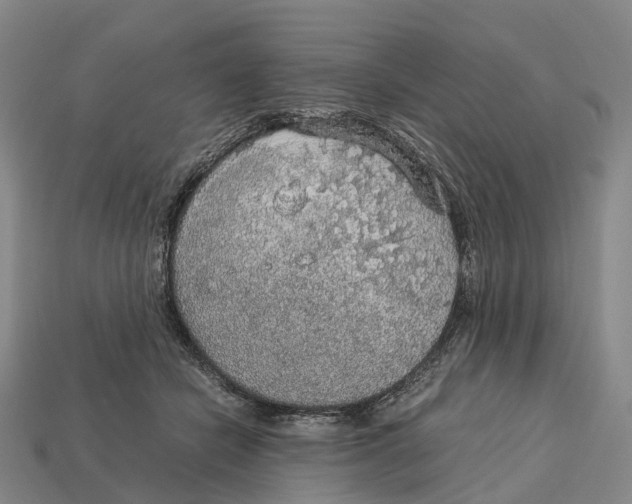 X0000113110462200909251056