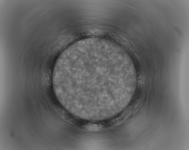 X0000113110464200909251056