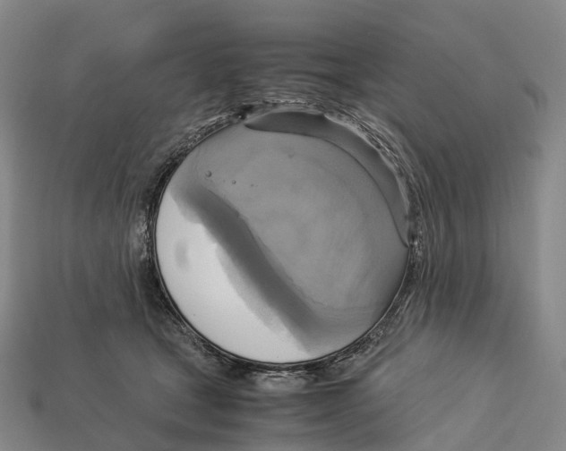X0000113110465200909251056