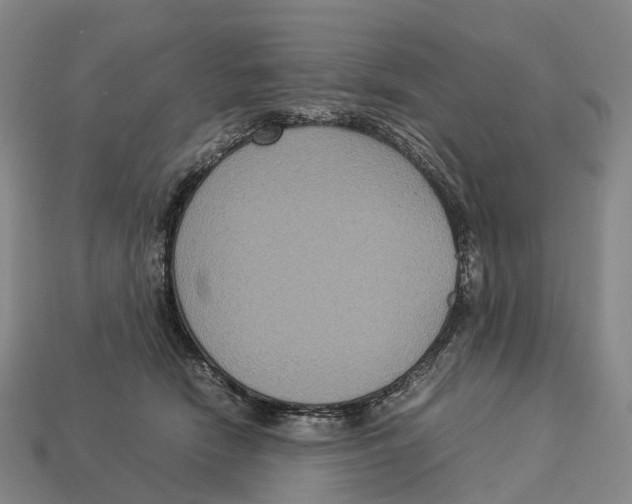 X0000113110466200909251056