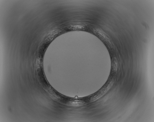 X0000113110467200909251056
