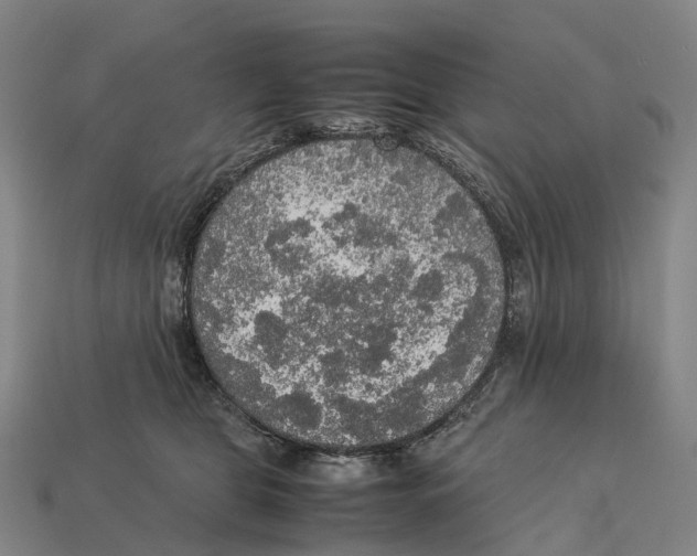 X0000113110469200909251056