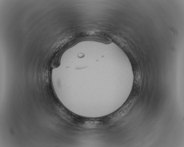 X0000113110470200909251056