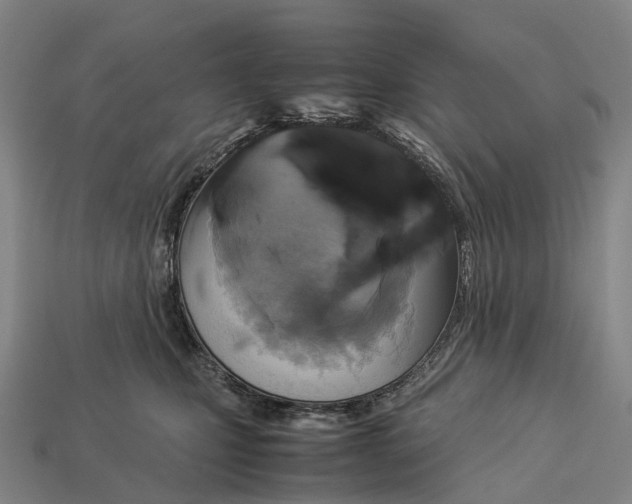 X0000113110471200909251056