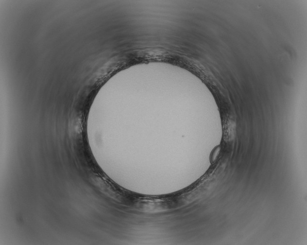 X0000113110472200909251056