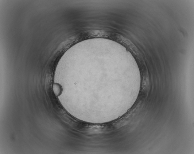 X0000113110473200909251056