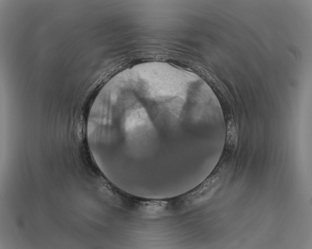 X0000113110474200909251056