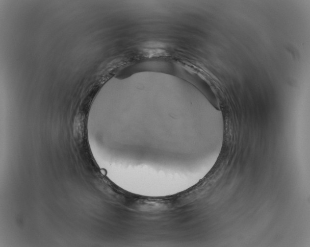 X0000113110475200909251056