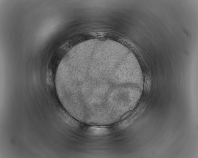 X0000113110477200909251056