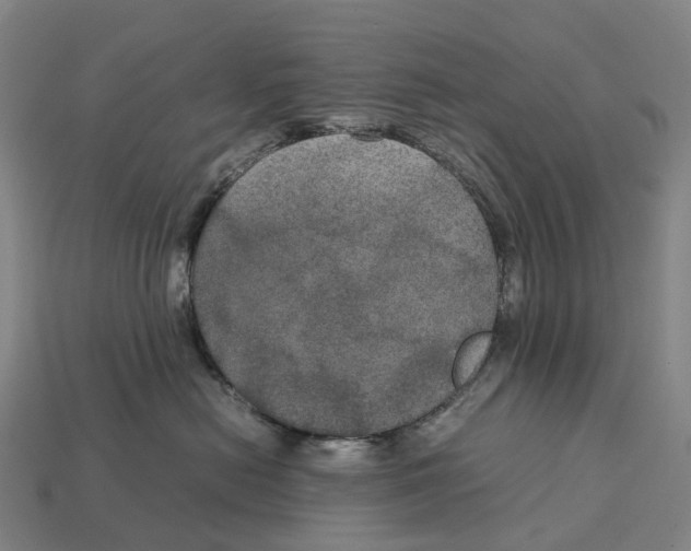 X0000113110478200909251056
