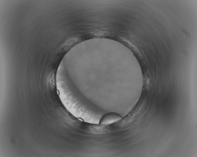 X0000113110479200909251056