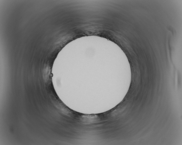 X0000113110480200909251056