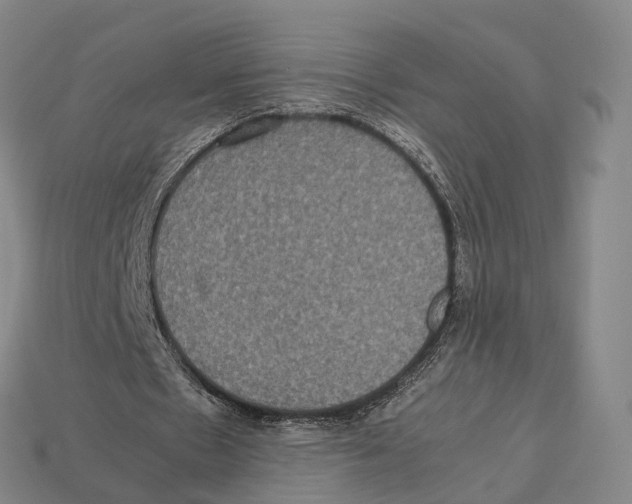 X0000113110481200909251055