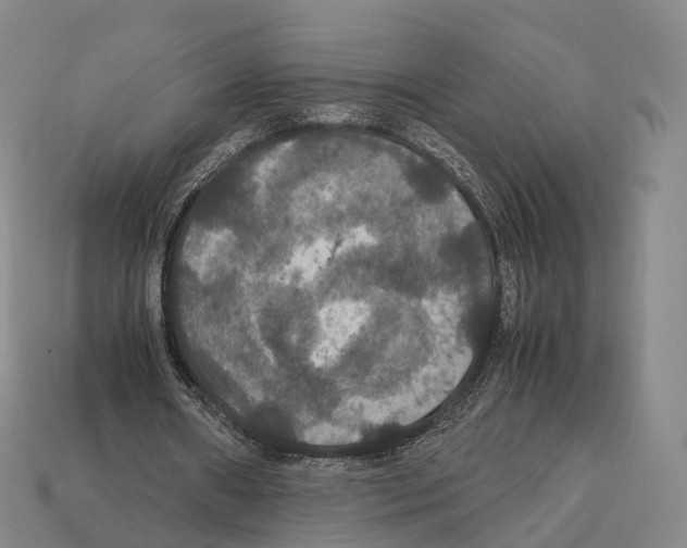 X0000113110482200909251055