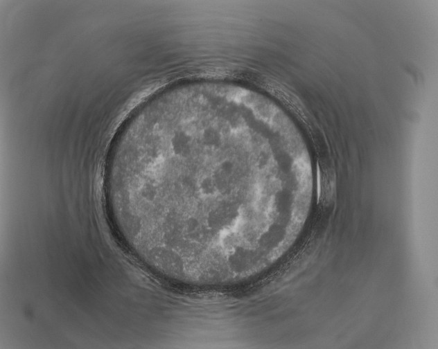 X0000113110483200909251055