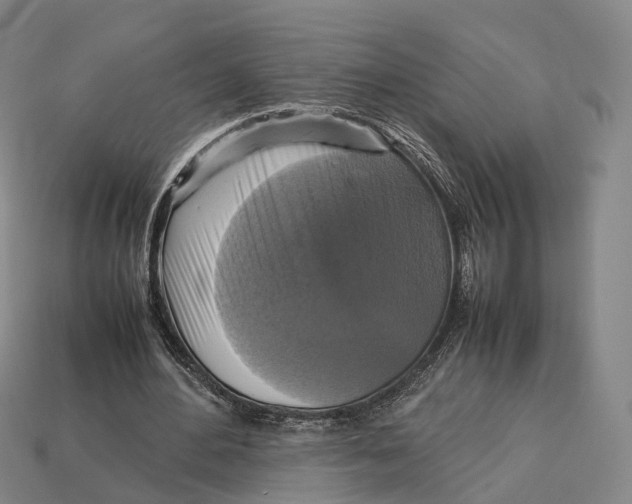 X0000113110484200909251055