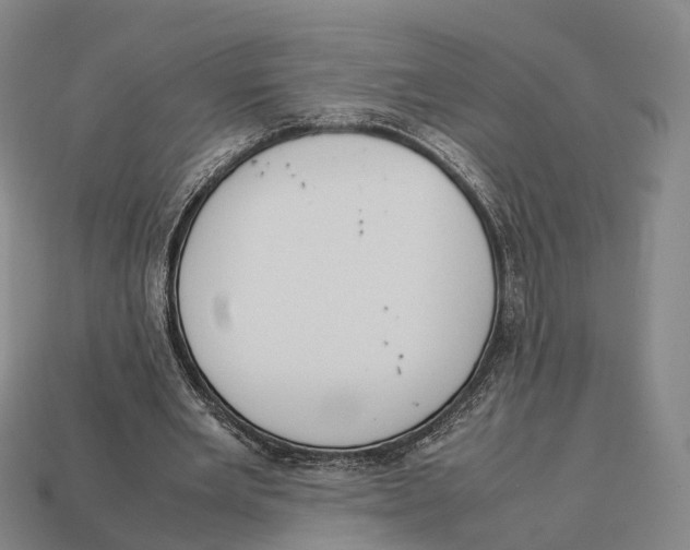 X0000113110485200909251055