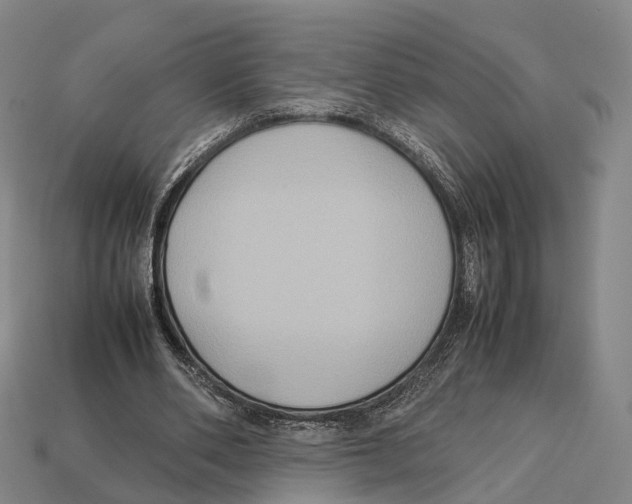 X0000113110486200909251055
