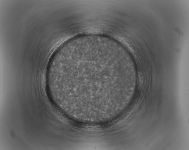 X0000113110487200909251055