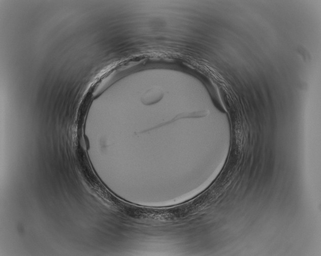 X0000113110488200909251055