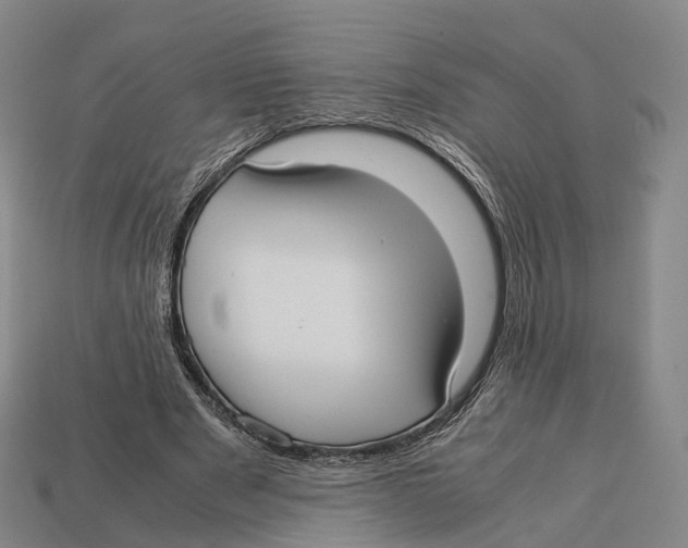 X0000113110489200909251055