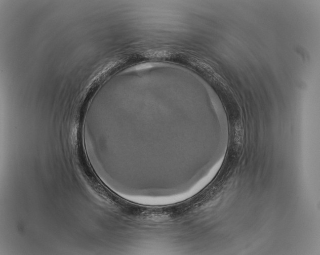X0000113110491200909251055