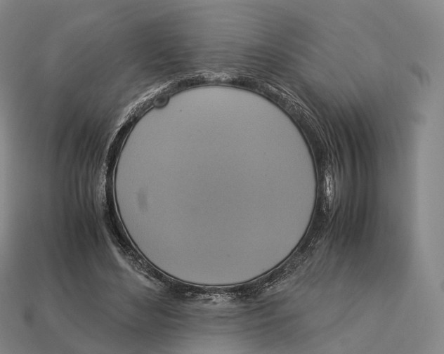 X0000113110492200909251055