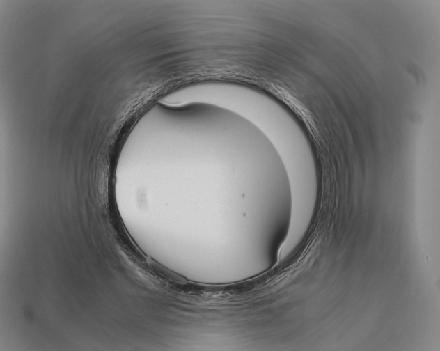X0000113110493200909251055
