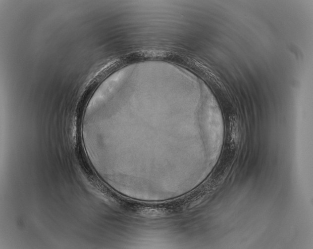 X0000113110494200909251055