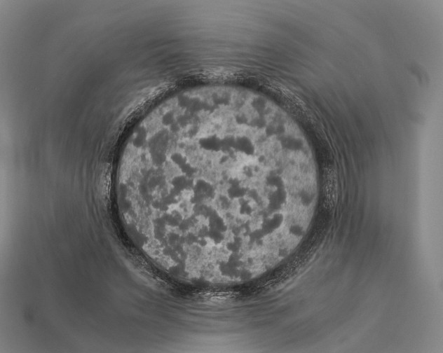 X0000113110495200909251055