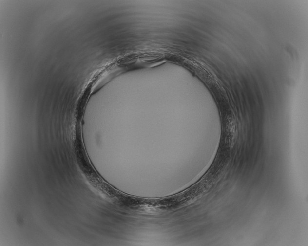 X0000113110496200909251055