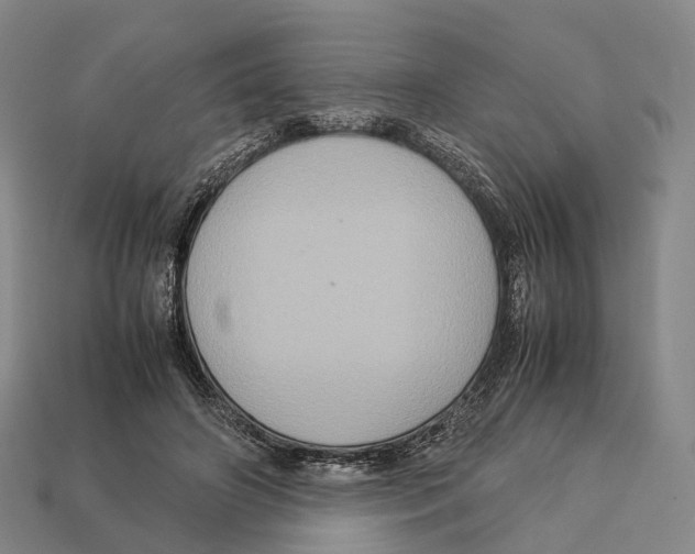 X0000113110498200909251055